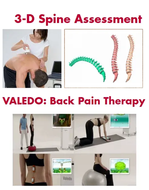 How Physical Therapy Helps Alleviate Back Pain